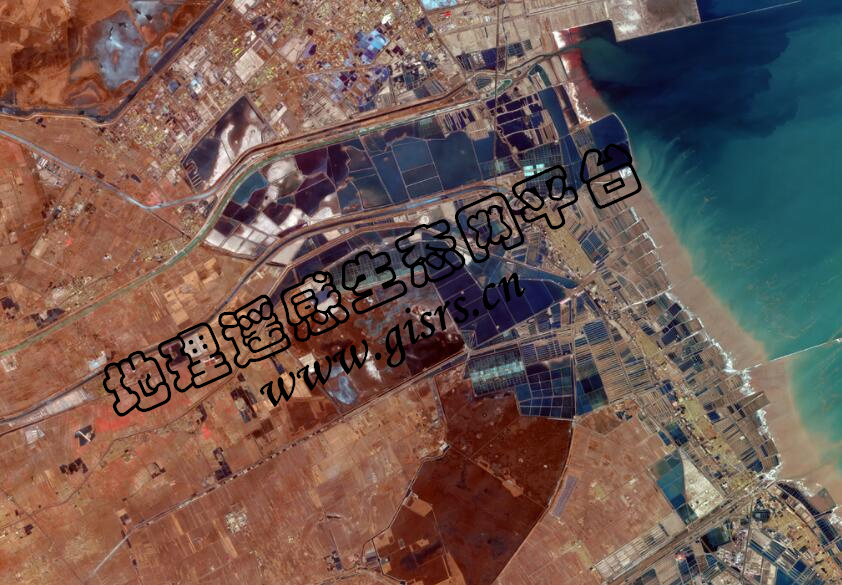 缩略图