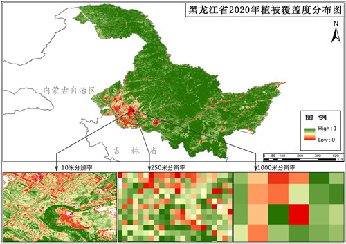 黑龙江省植被覆盖度（VFC）10米逐月数据