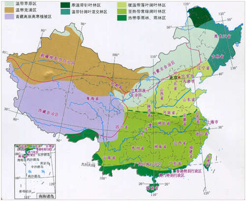 2020年中国植被类型分布数据