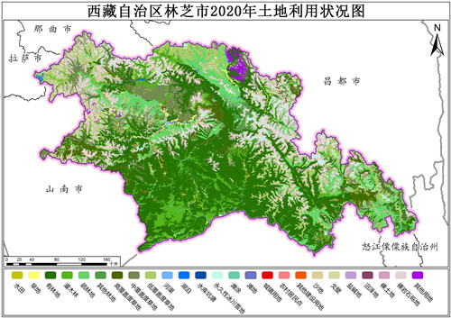 2020年西藏自治区林芝市土地利用数据