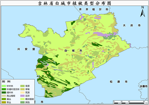 2000年吉林省白城市植被类型分布数据