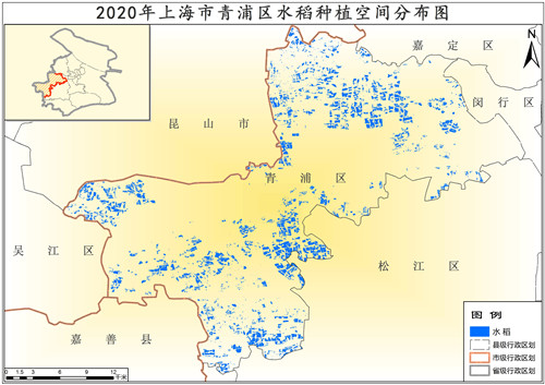 2020年上海市青浦区水稻种植分布数据