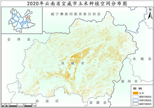 2020年云南省宣威市玉米种植分布数据