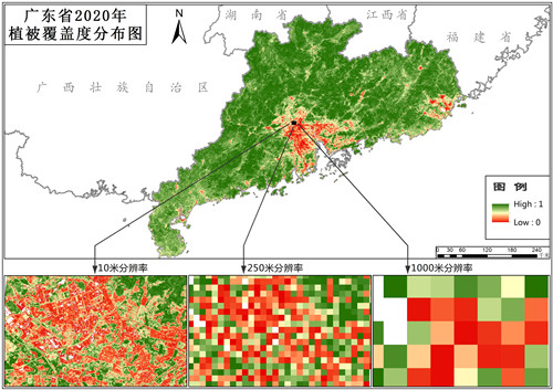 广东省植被覆盖度（VFC）10米逐月数据