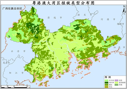 2020年粤港澳大湾区植被类型分布数据