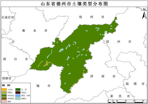 1995年山东省德州市土壤类型数据