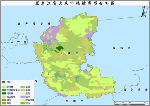 2000年黑龙江省大庆市植被类型分布数据