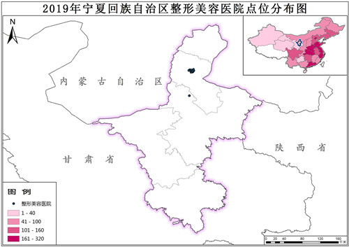 2019年宁夏回族自治区整形美容医院点位数据